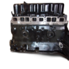 GM 3.0 L 181 engine-forklift-engine