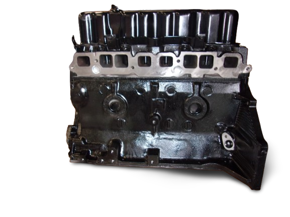 GM 3.0 L 181 engine-forklift-engine